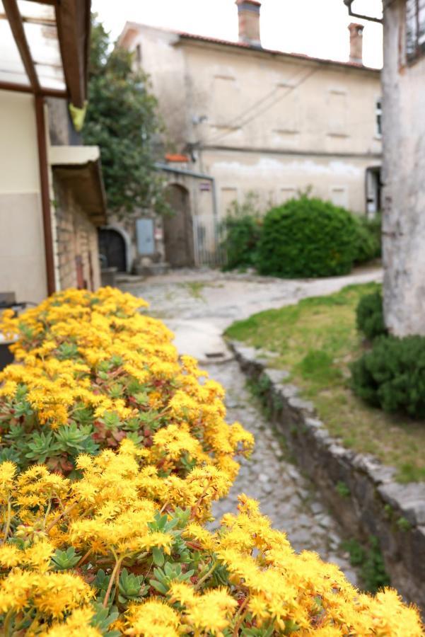 Apartmani Nad Voltun 卡斯塔 外观 照片