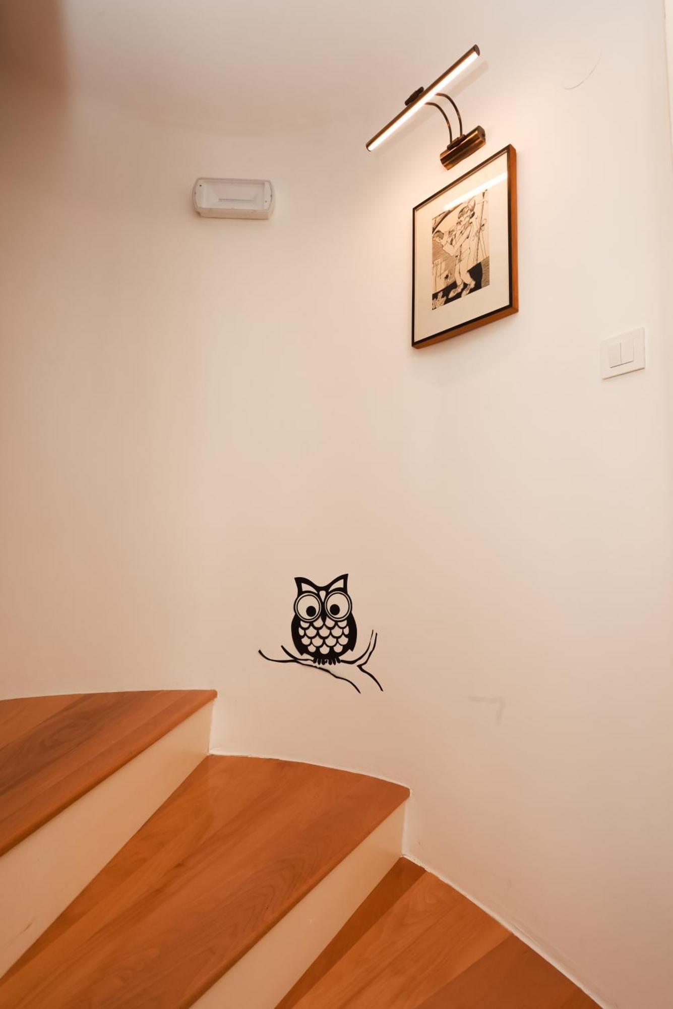 Apartmani Nad Voltun 卡斯塔 外观 照片
